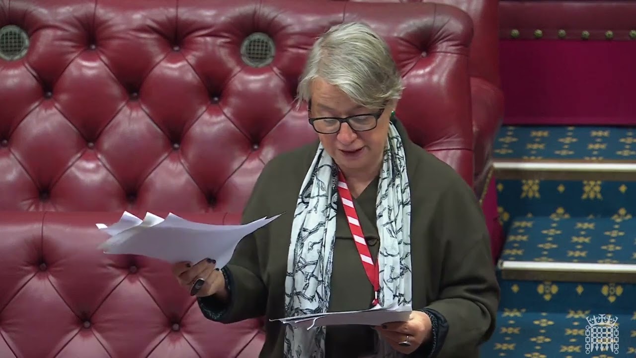 Children’s Wellbeing and Schools Bill Committee Stage Day 12 (2)