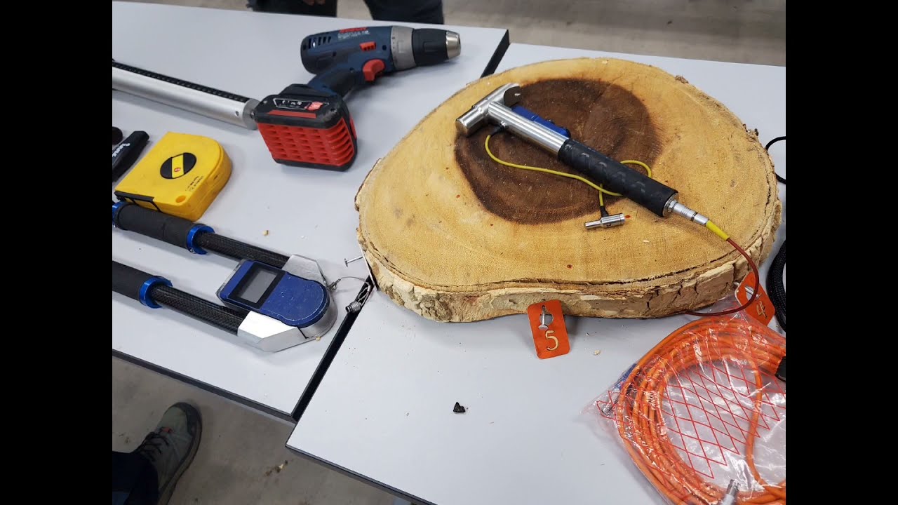 ☆ RESISTOGRAPH and PiCUS Sonic Tomograph ,the Arbor Tools use for advanced trees inspections ☆