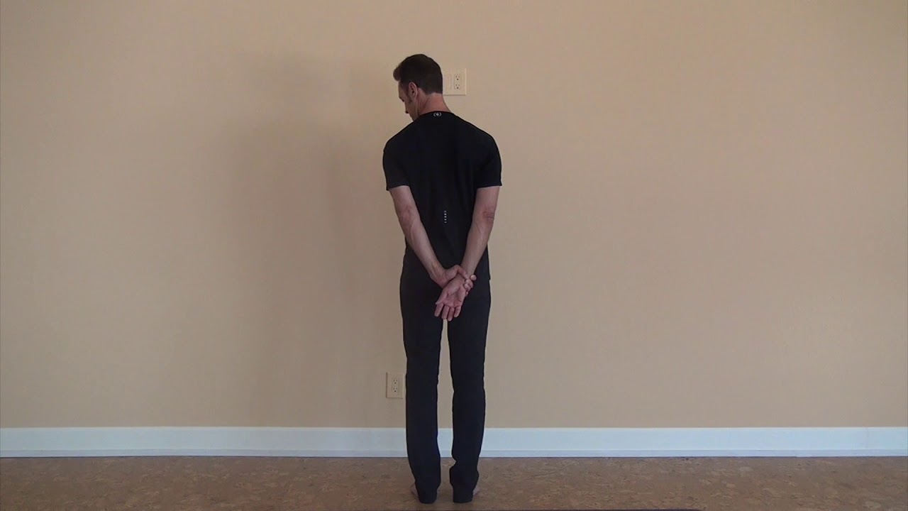 Great 8&trade; Mobility Program by Stretch to Win&reg; - levator scapulae & the Power Net
