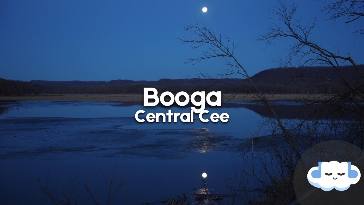 Central Cee - Booga (Clean - Lyrics)