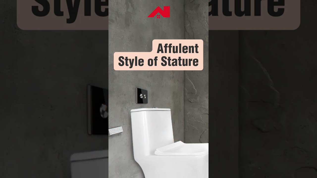 One Piece water Closet | Water Closet Installation | Bathroom Design Ideas | Lowest Price | Canada