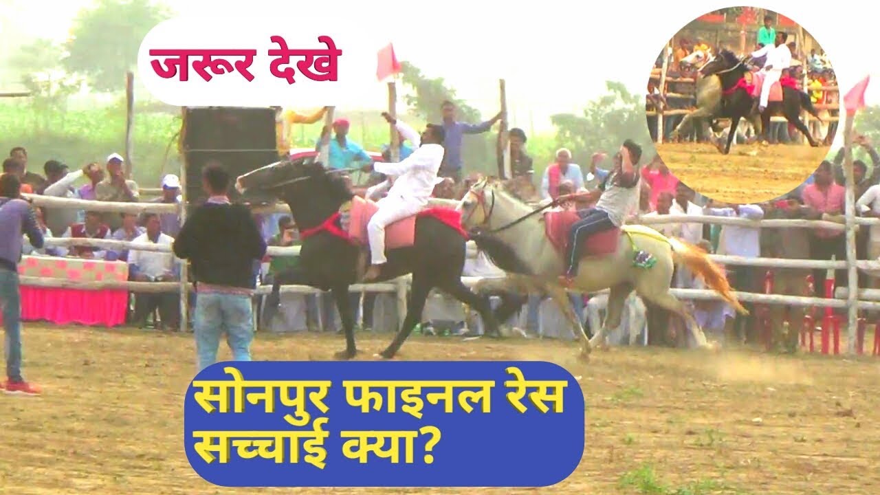 सोनपुर फाइनल घोङा रेस 2018 । सच देखे फिर फैसला आप का । SONPUR FINAL HORSE RACE