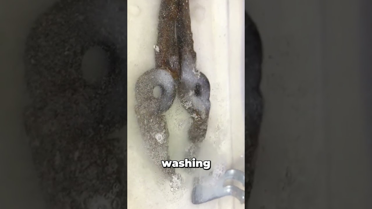 How to Make Rust Disappear with Electricity?