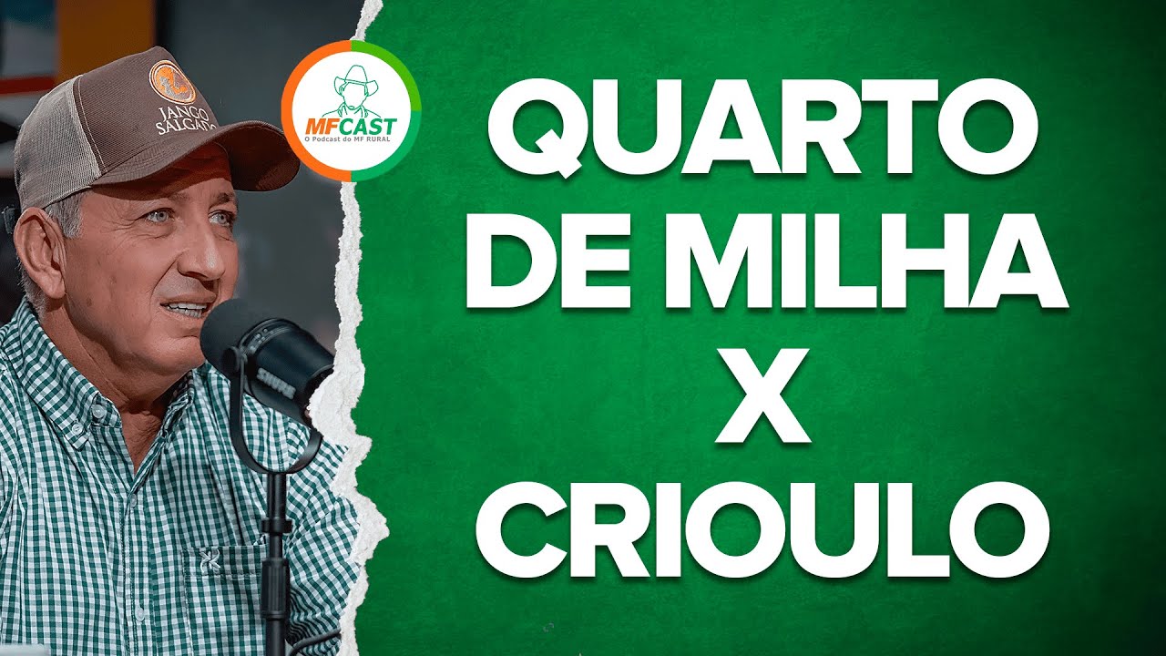 QUARTO DE MILHA X CRIOULO: QUAL A MELHOR RAÇA PARA RÉDEAS? - MF CAST #67