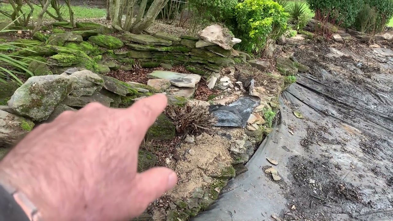 Pond cleaning & pond relining update in Essex 