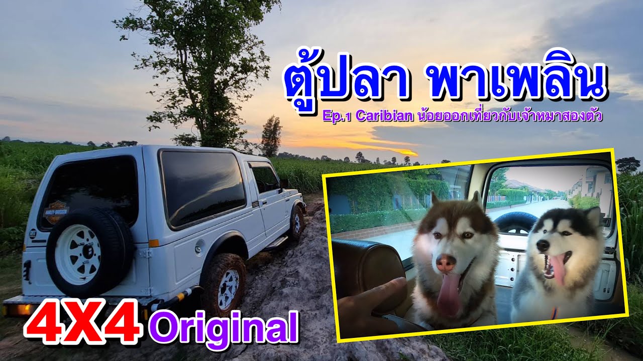 พาเพลิน Ep.1 : Suzuki Caribian น้อยออกเที่ยวกับเจ้าหมาสองตัว