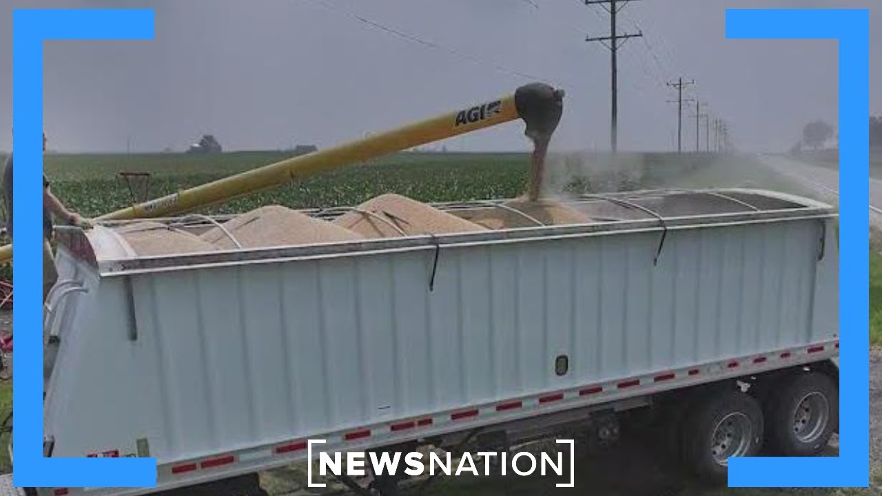 USDA aid restarts as farmers race to plan next season | Morning in America