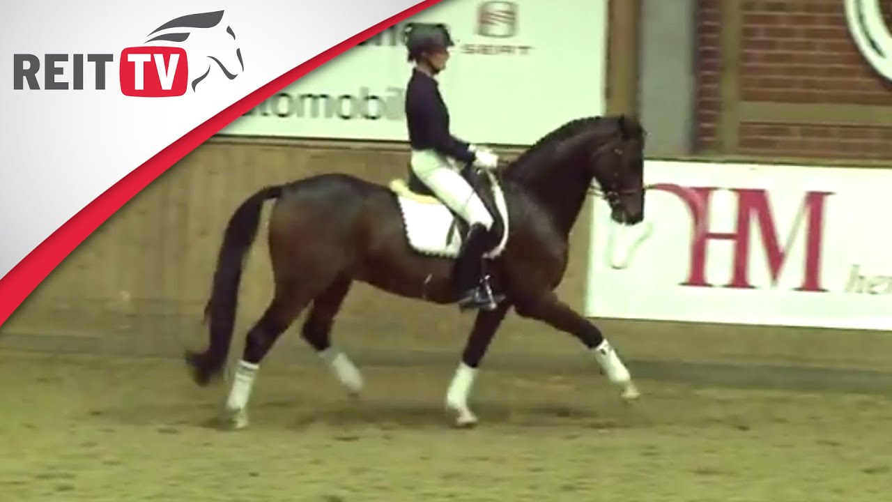 Das Pferd an die Hand reiten - Klaus Balkenhol in Leverkusen Teil 1e | Die Alten Meister