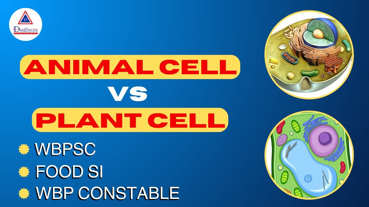 Important Questions on Animal Cell Vs Plant Cell #wbpsc #wbcs #wbcs2023 #foodsi #wbpconstable