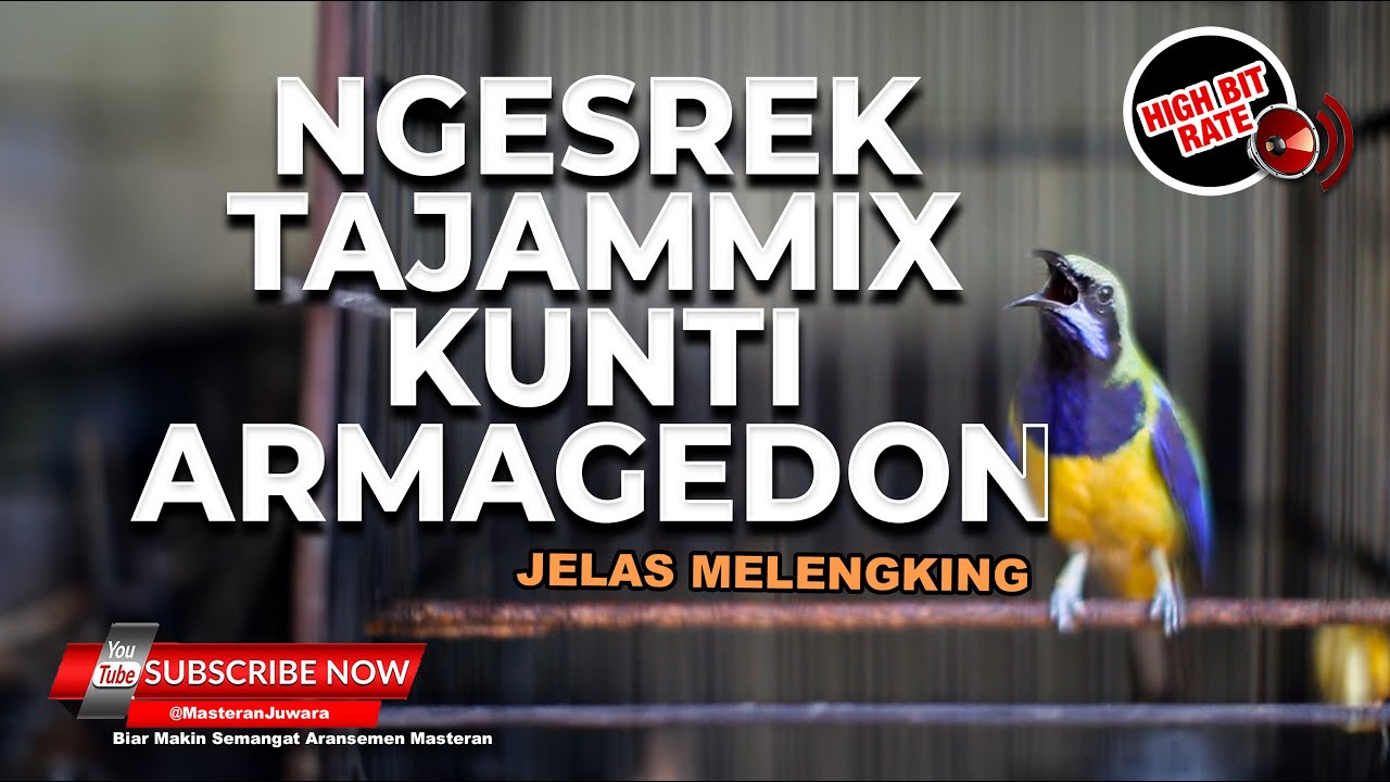 🔴Masteran Kunti Armagedon Mix Ngesrek Tajam Materi Cucak Cungkok Gacor Full Isian Tembakan