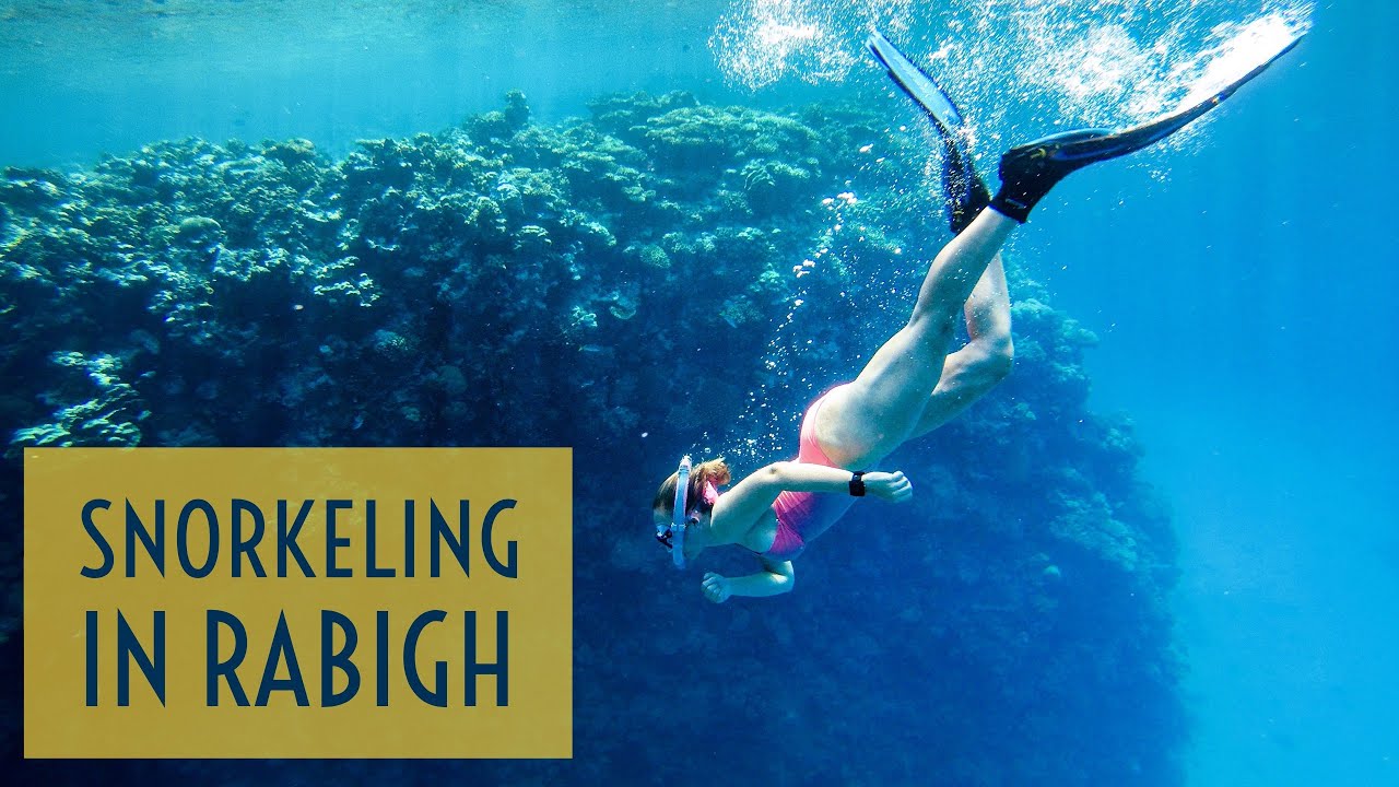 Amazing Snorkeling in the coral reefs of Rabigh, Saudi Arabia!