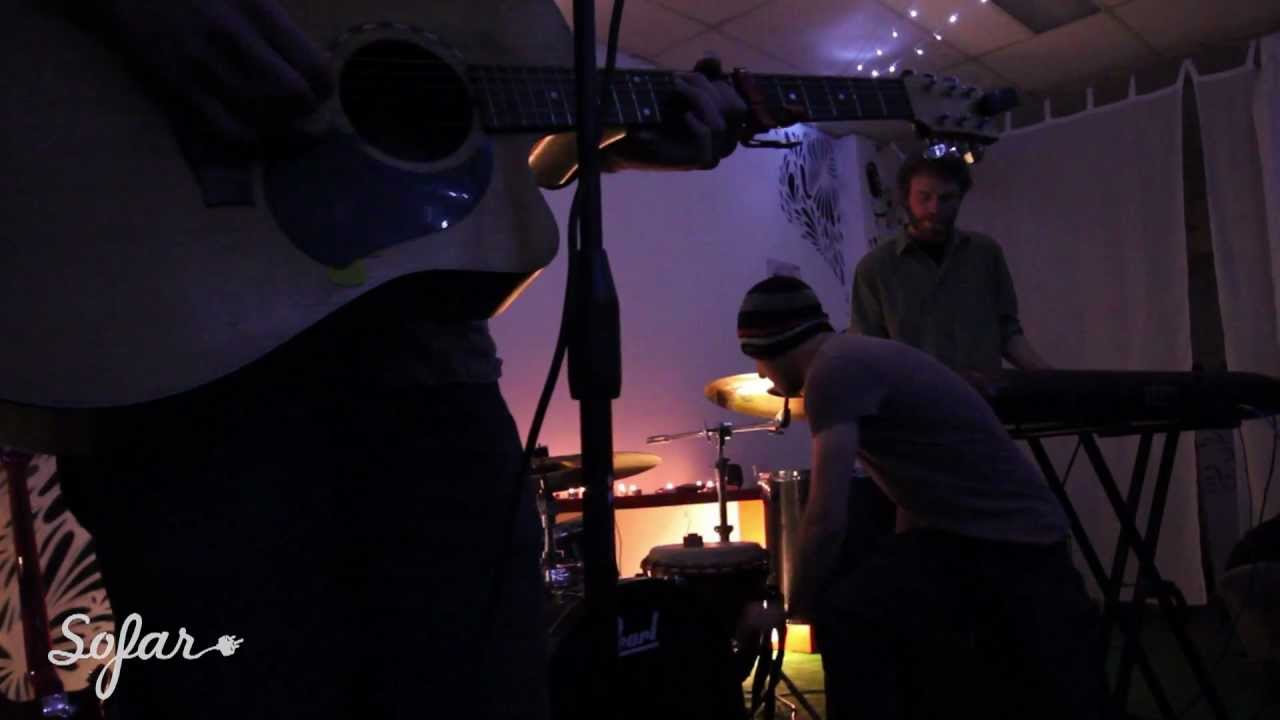 Bears With Guns - Terms And Conditions | Sofar Sydney