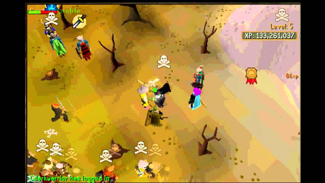 Storm of Armadyl Pking 4 - Wildstalker