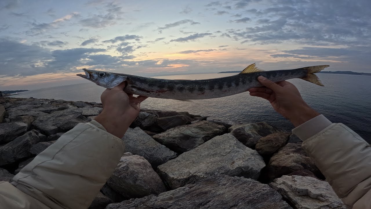 Pêche du Barracuda et tassergal en Méditerranée, immersion totale, Je casse sur du gros! 🙌🎣