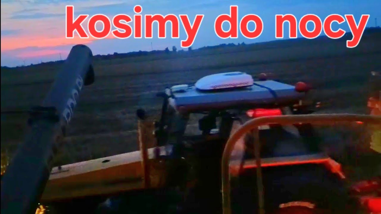 Film dla ludzi o mocnych nerwach