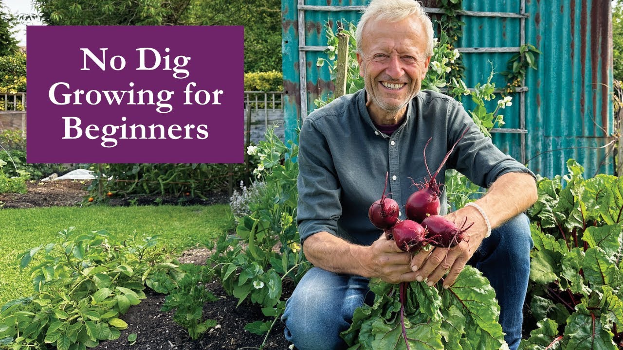 Growing no dig for beginners