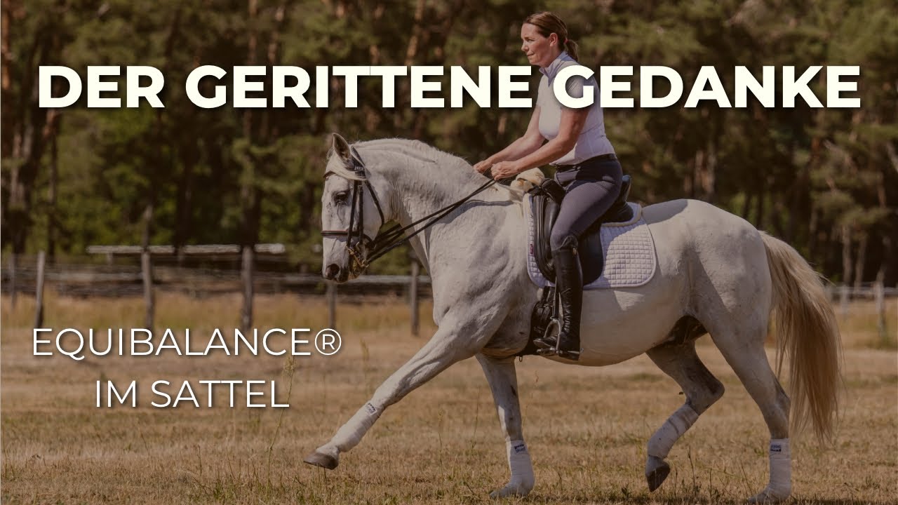 Tipps Reiten während des Trainings mit meinen Pferden 🐴 Teil 1 - Lösende Seitengänge #reitkunst