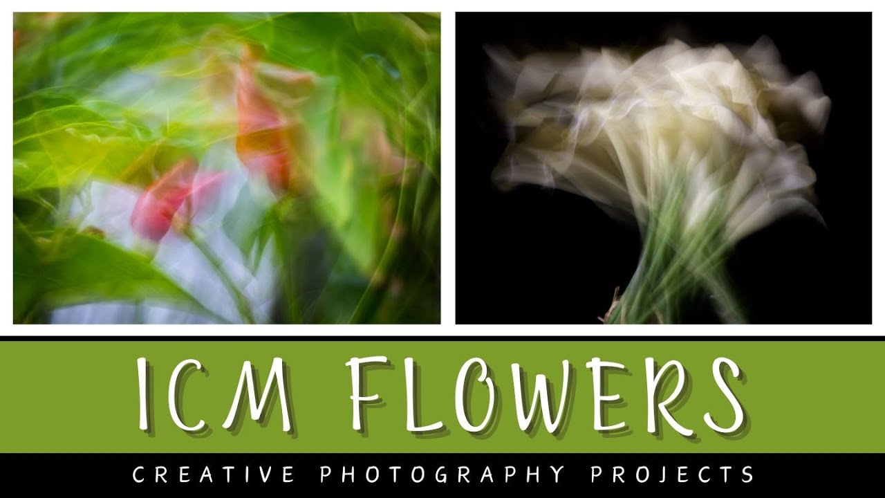 ICM flower & plant photography: Move your camera to create abstract art outdoors and in studio.