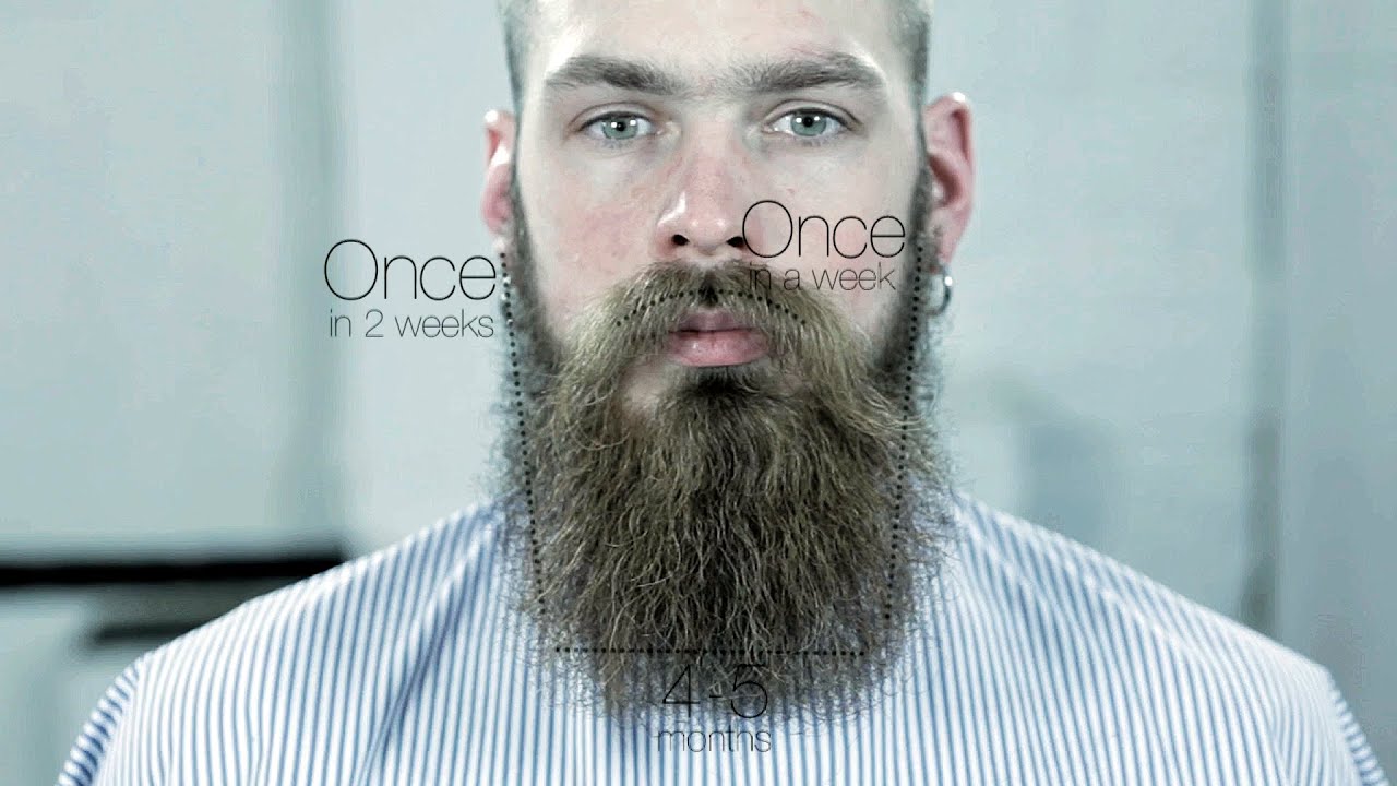 a guide to groom and trim a beard