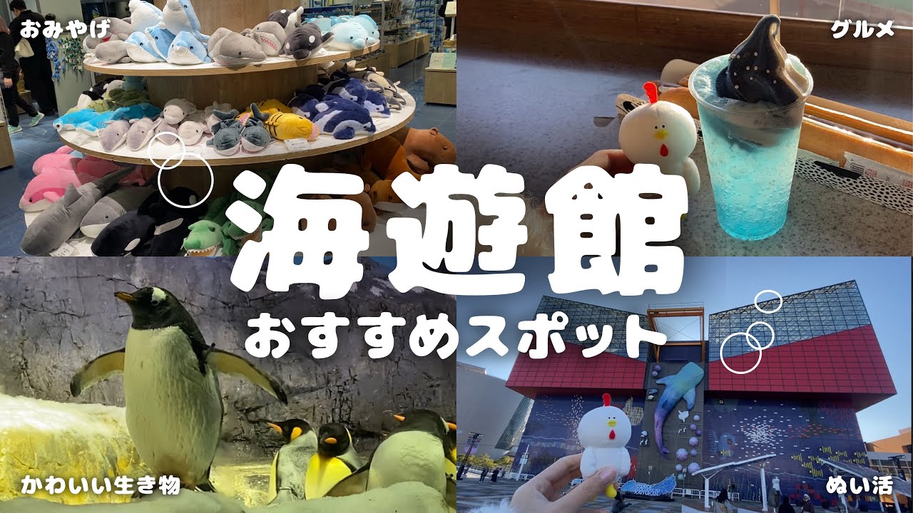 海遊館のおすすめスポット🌟グルメ、お土産、イルミネーションもご紹介！