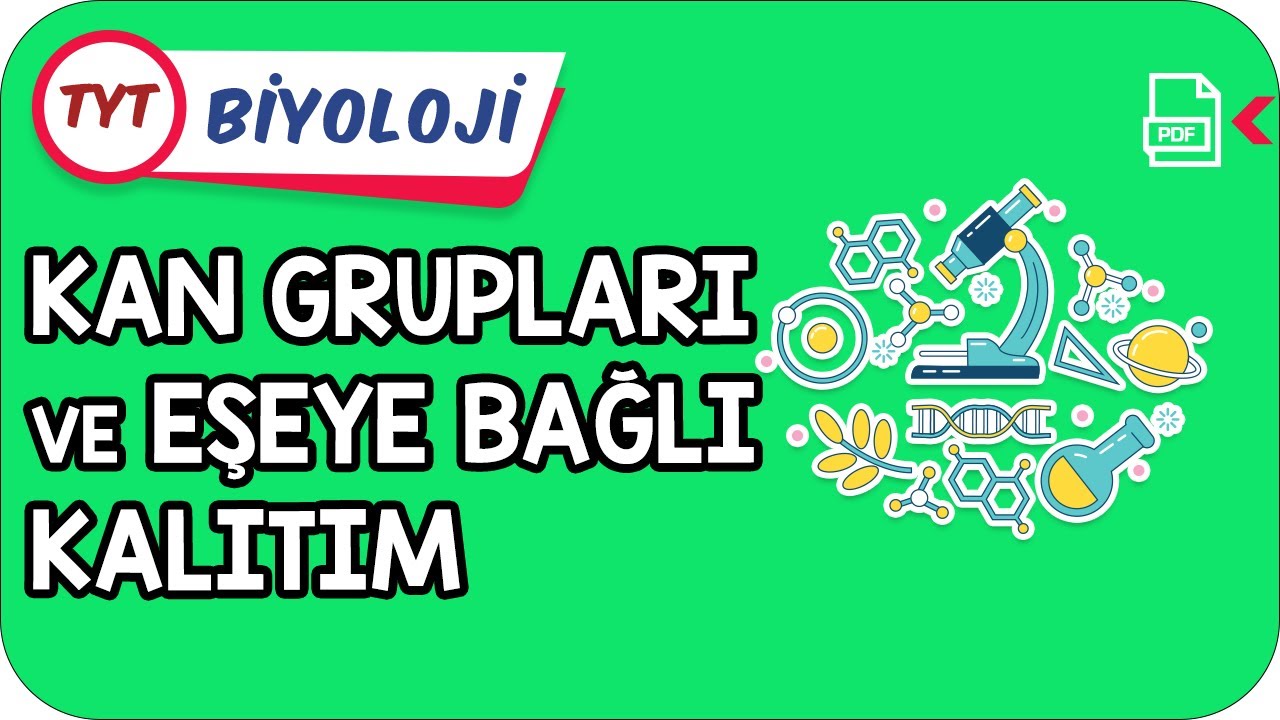 Kan Grupları ve Eşeye Bağlı Kalıtım | TYT Hızlanış Kampı   #Kamp2021
