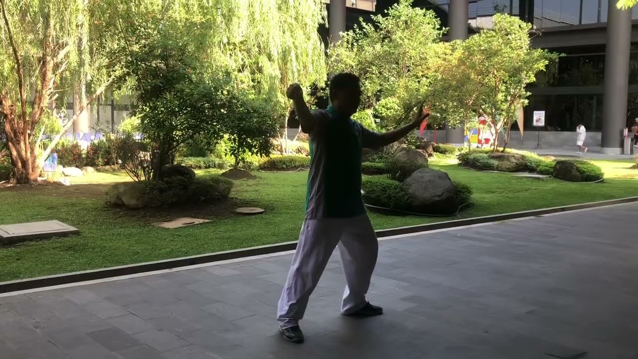 Sasana Taijiquan ATNI Gejayan 24 Form