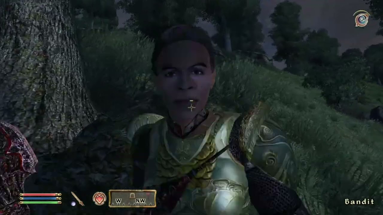 08JAN2026 The Elder Scrolls IV: Oblivion
