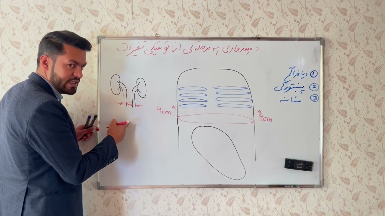 د میندوارۍ د مرحلي اناټومیکی تغیرات شپږم لوست(6)