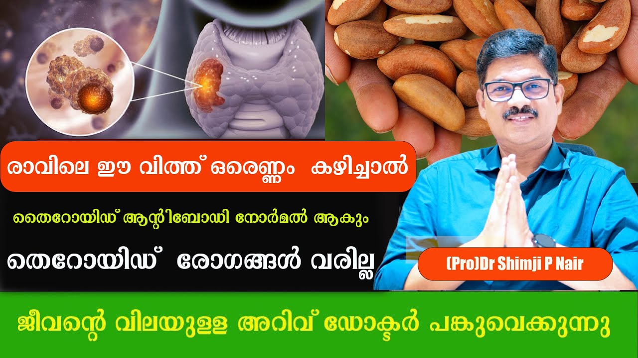 രാവിലെ ഈ വിത്ത് ഒരെണ്ണം  കഴിച്ചാൽ തൈറോയിഡ് ആന്റിബോഡി നോർമൽ ആകും.തൈറോയിഡ്  രോഗങ്ങൾ വരില്ല /Dr Shimji
