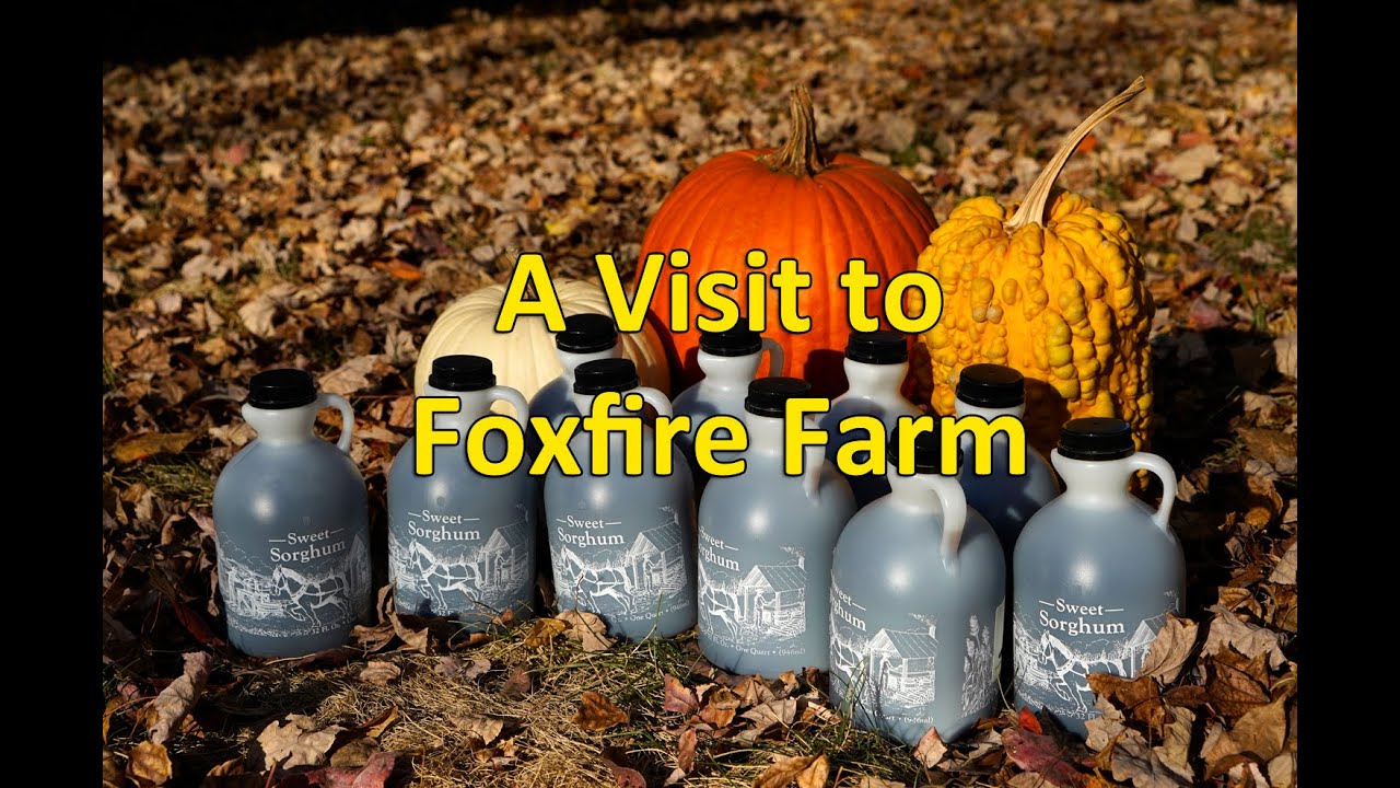 Making Sorghum Syrup at Foxfire Farm
