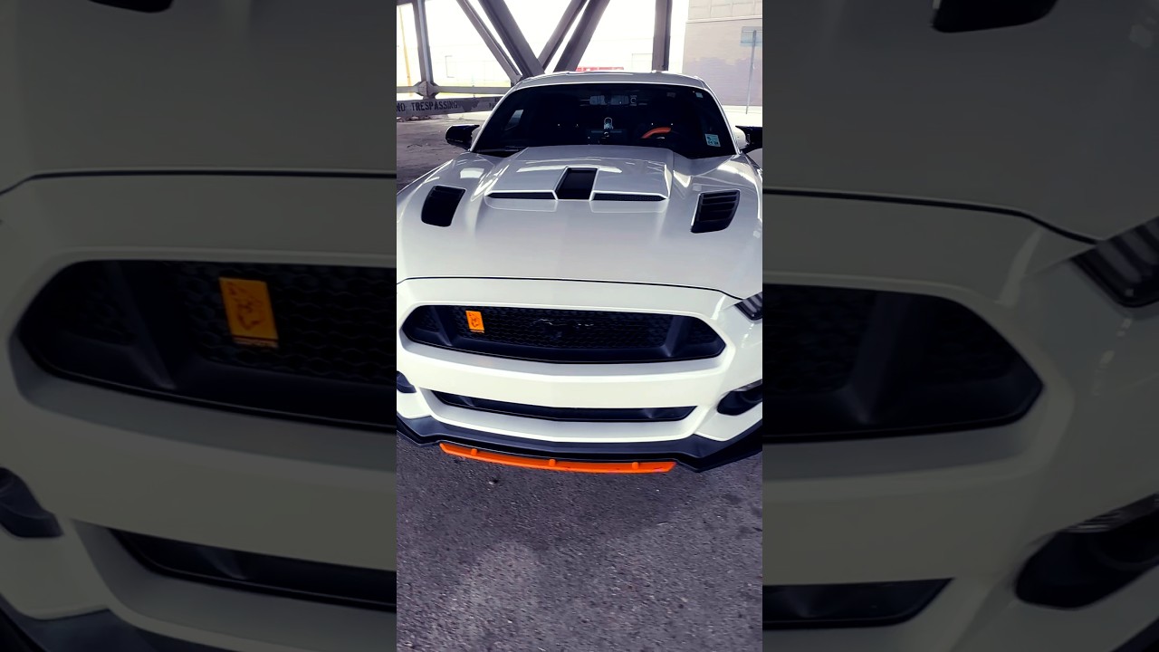 2017 Mustang GT 