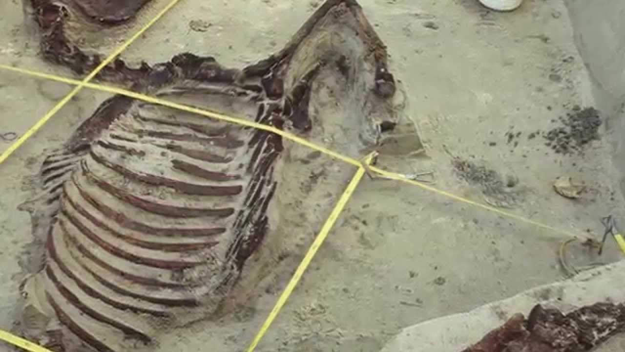 Bewaakte kust. Een klein Romeins fort bij Den Haag (NWO Odyssee 19)