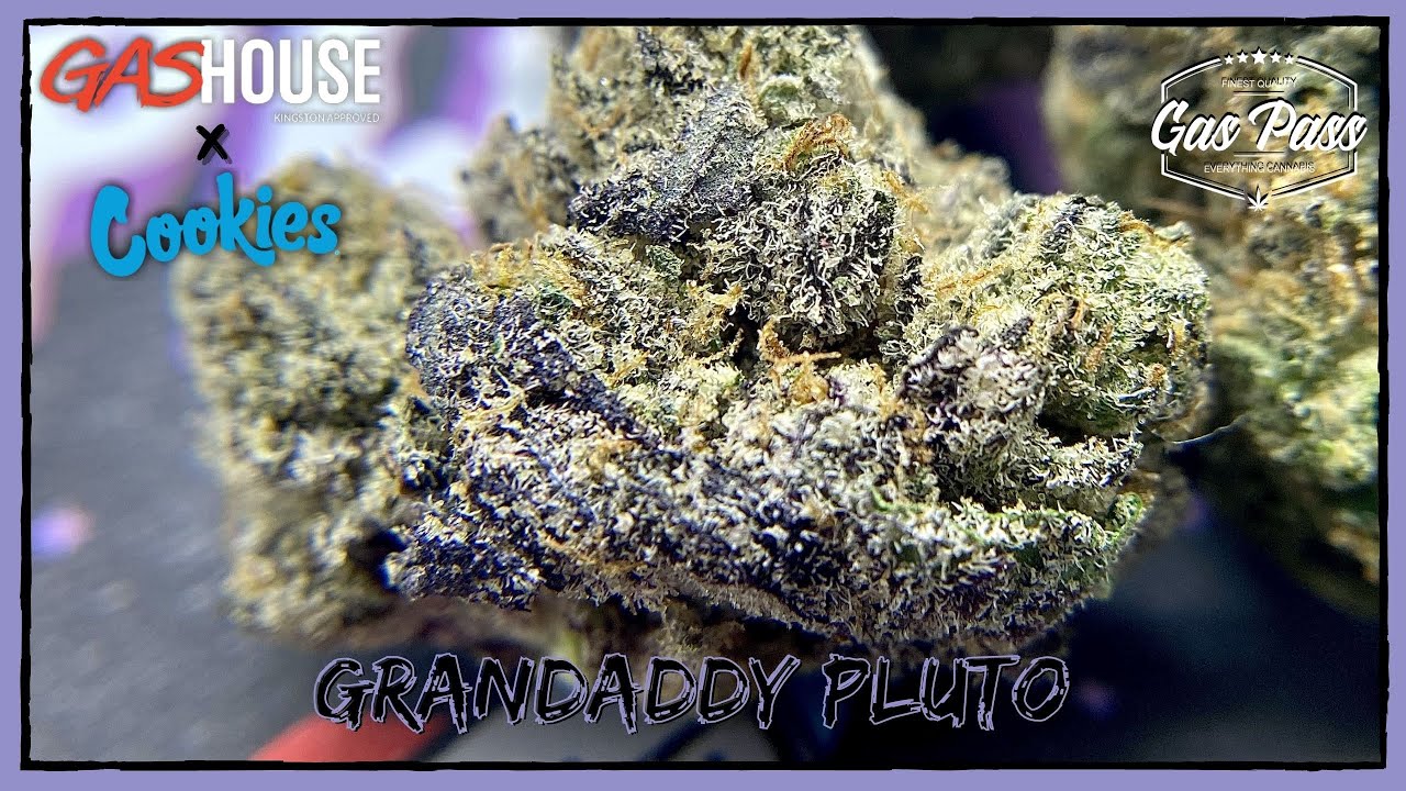 Cookies - Granddaddy Pluto Strain Review