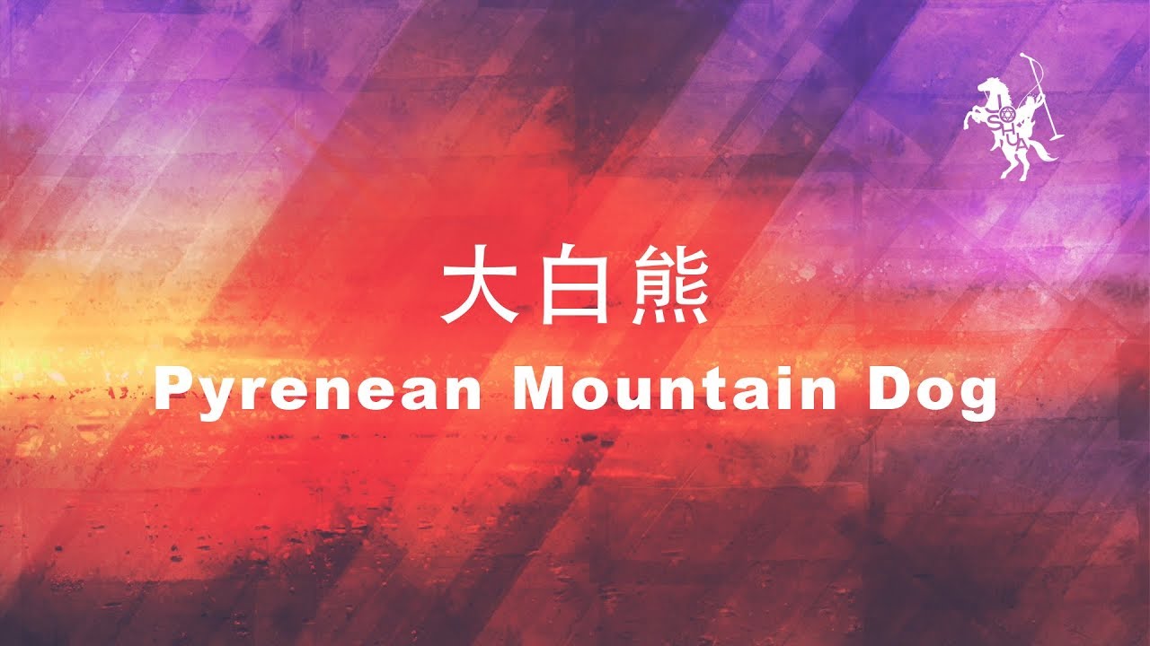 約書亞樂團 -【 大白熊 / Pyrenean Mountain Dog 】官方歌詞MV