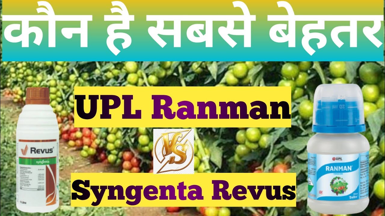 Ranman vs Revus। Upl ranman। syngenta revus।mandipropamide 23.4%। best fungicide। late blight