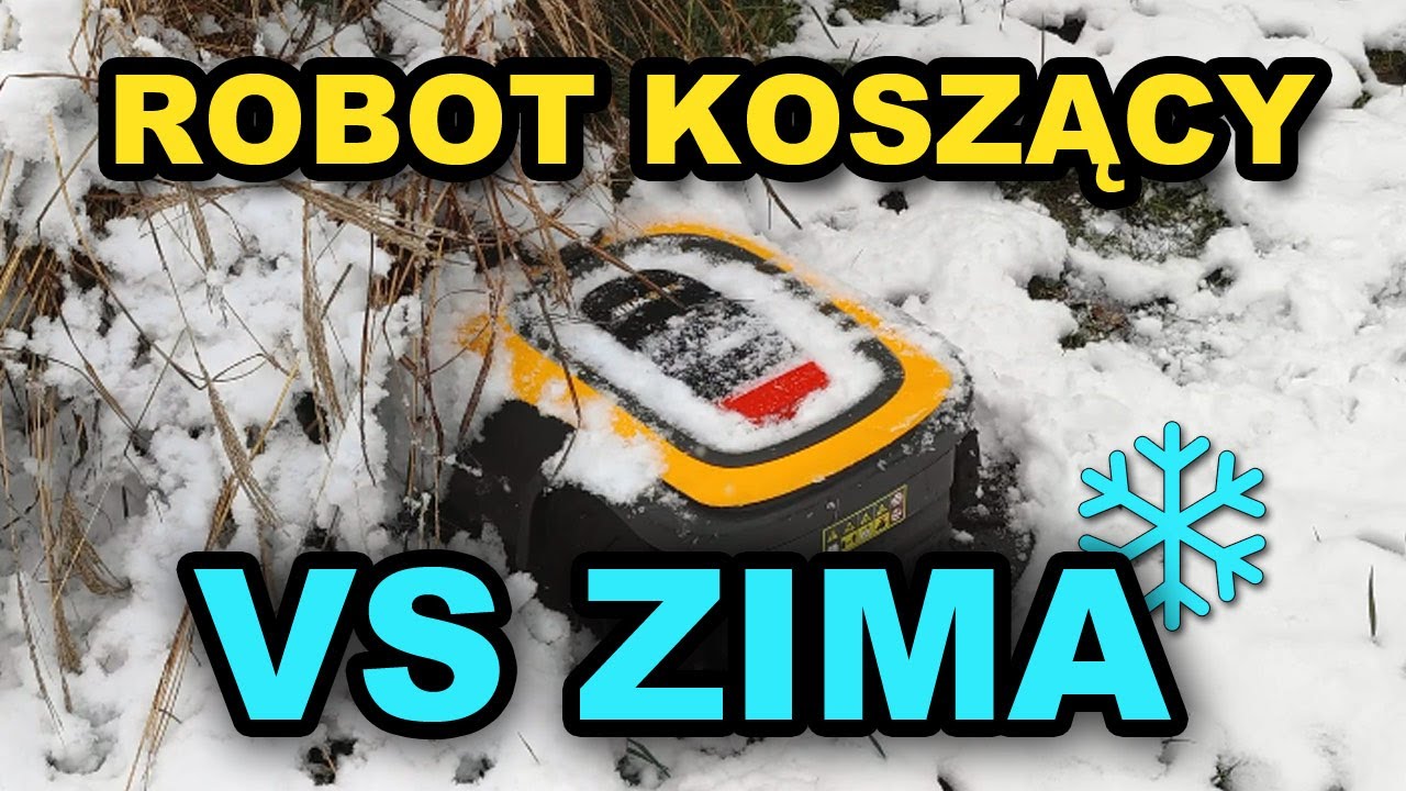 Robot koszący zimą - jak go przygotować, jak o niego zadbać?