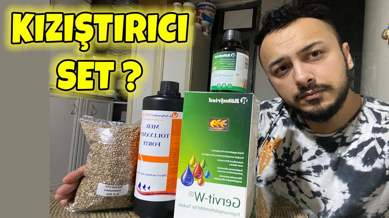 MUHABBET KUŞU İÇİN KIZIŞTIRICI SET ? ÜREME TAKVİYESİ