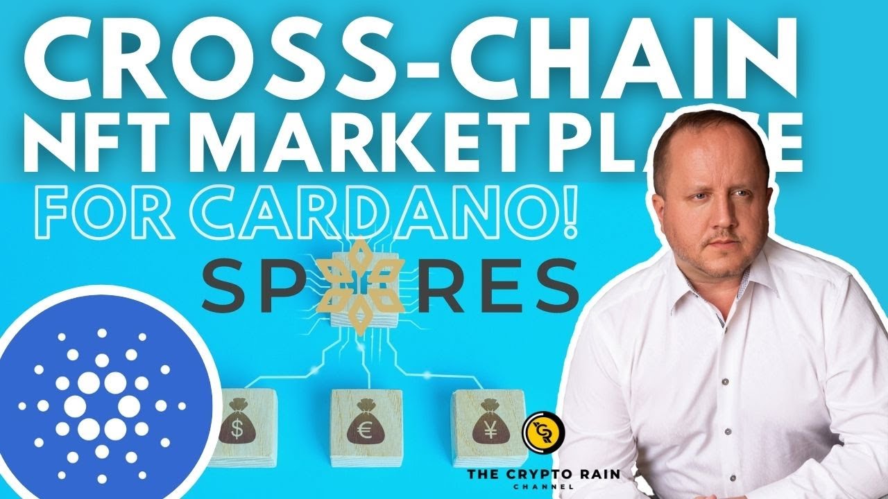 Cross Chain NFT Marketplace For Cardano and Most the large Blockchains