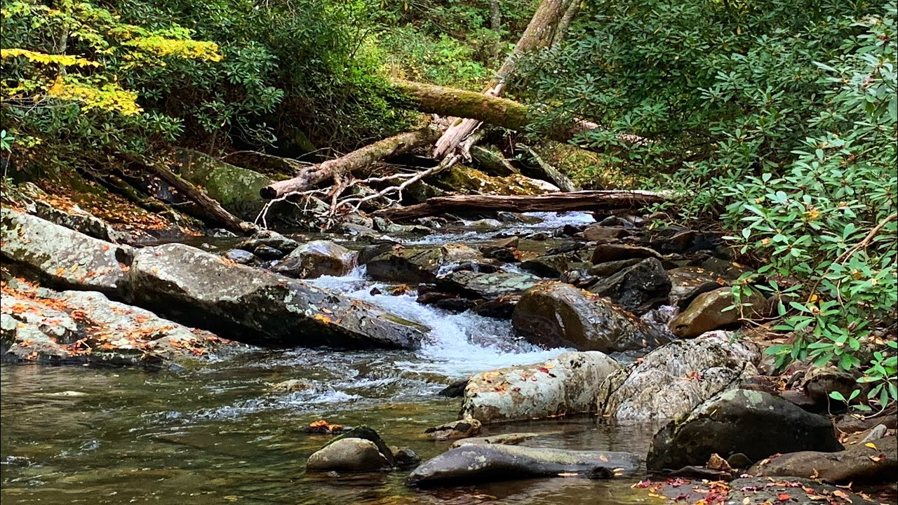 Relaxing Creek Sounds | Great Smoky Mountains