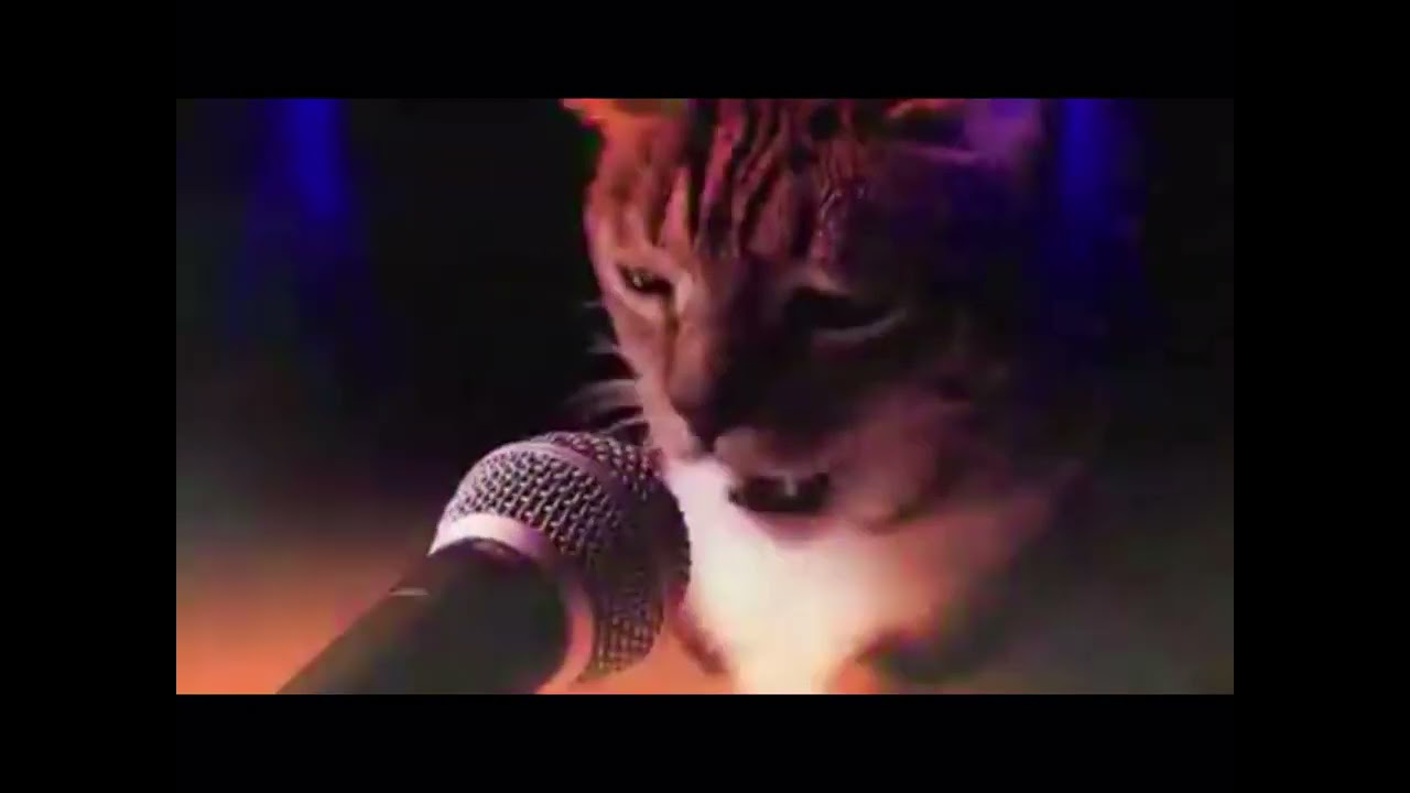 Mww Mww  Mww Song