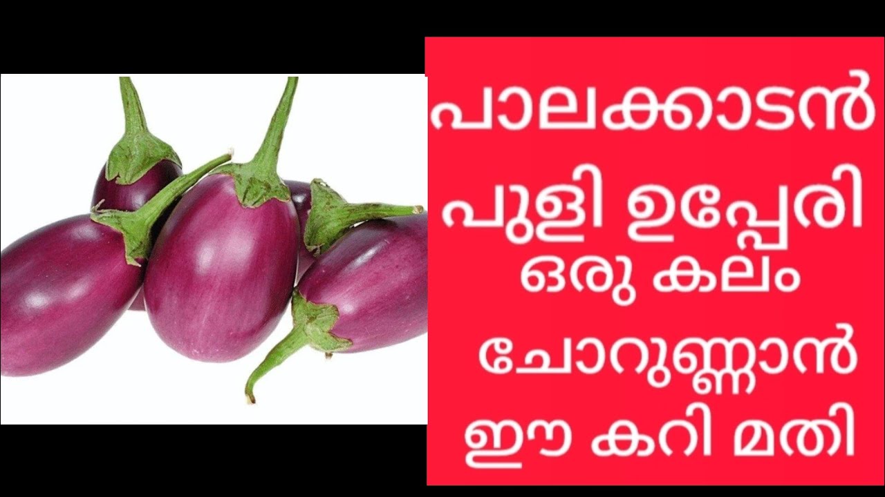 പാലക്കാടൻ പുളി  ഉപ്പേരി | Side Dish | Brinjal Curry | kathirikka Curry | Vazhuthananga Gravy 