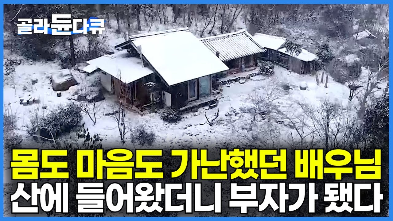 곰 한 마리 튀어나와도 이상하지 않을 폭설 오지. 배우 생활 접고 자연인이 됐다｜몸도 가난했던 삶 뒤로하고 나무로 우거진 숲에 들어왔더니 부자가 됐다｜겨울｜한국기행｜#골라듄다큐