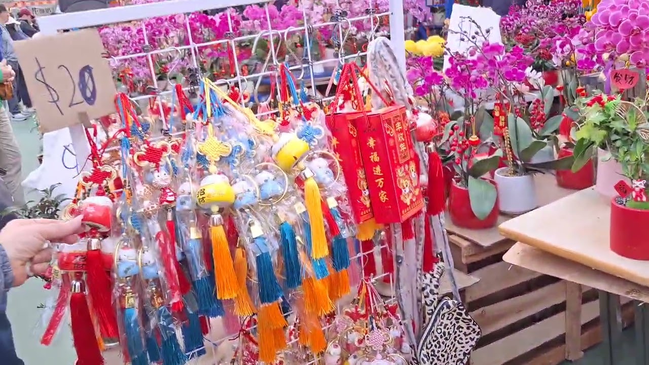 #belibunga #ditempatbazar #diviktoriapark #causewaybayhongkong