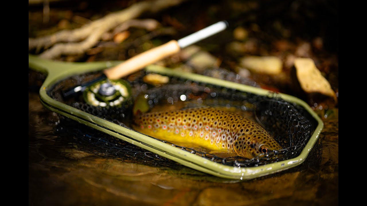 If I Could Only Use One Trout Rod