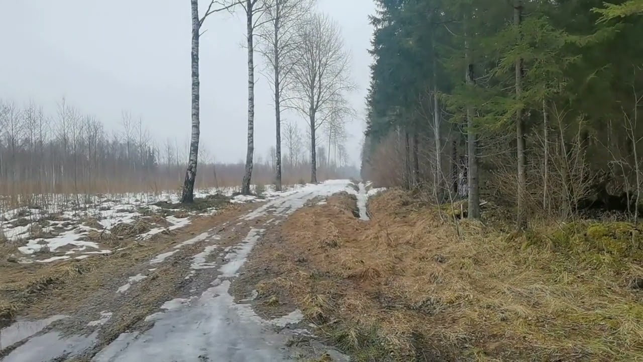 Лес вырубает. жаль.