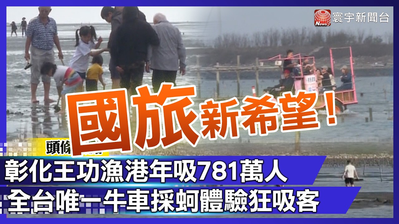 國旅新希望！彰化王功漁港年吸781萬人 全台唯一牛車採蚵體驗狂吸客｜#寰宇新聞