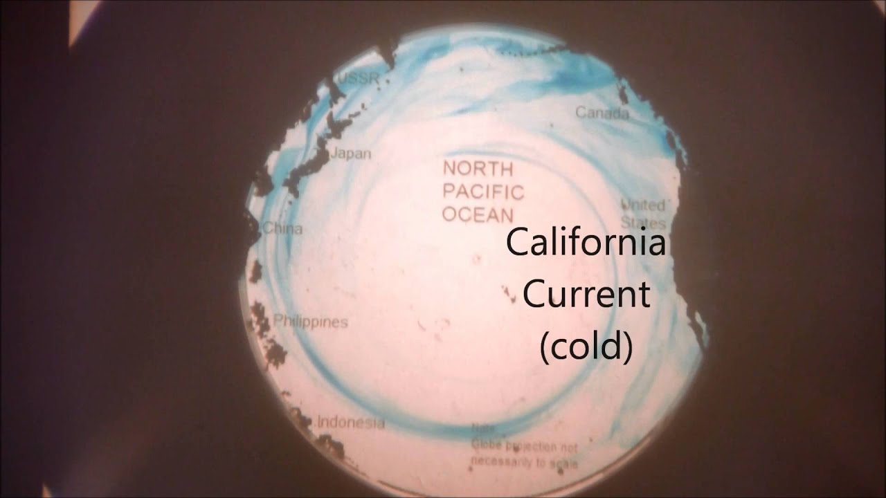 Pacific Ocean Circulation--Go With The Flow!