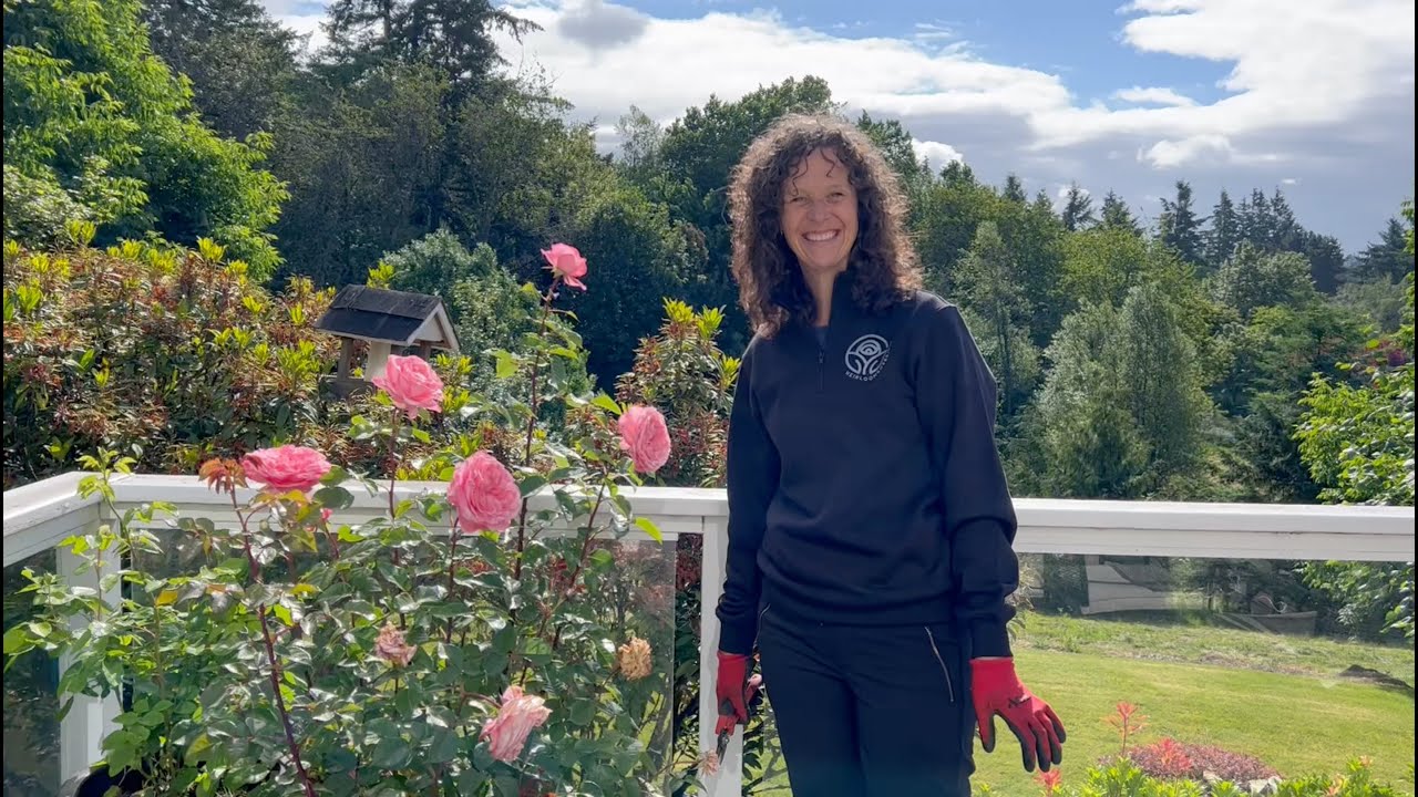 How to Deadhead Your Roses