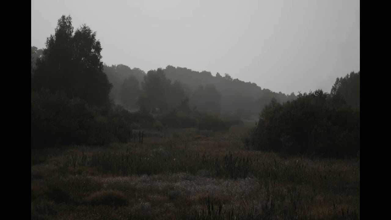 liorinkarmic - triangle