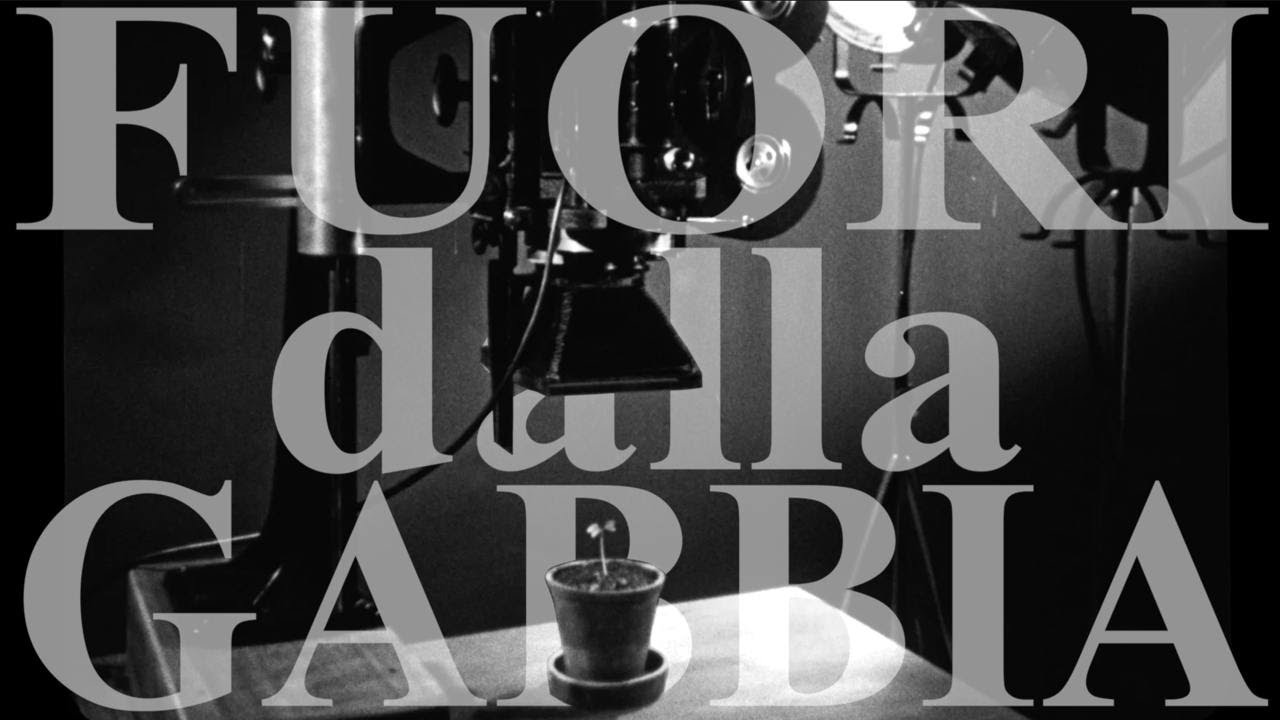 F For Film Tv #28 - Bestiari, Erbari, Lapidari - Fuori dalla gabbia
